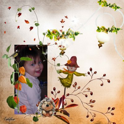 http://nsm02.casimages.com/img/2010/01/02//100102101324753545168793.jpg
