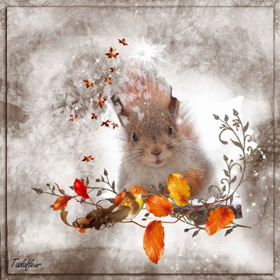 http://nsm02.casimages.com/img/2010/01/02//100102101324753545168794.jpg