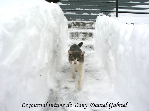 hiver sherbrooke ti loup photo dany daniel gabriel