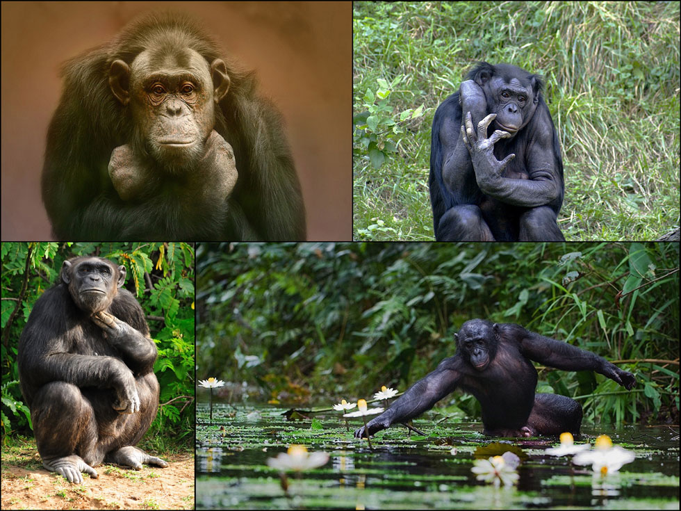 Image hébergée par Casimages.com : votre hébergeur d images simple et gratuit
