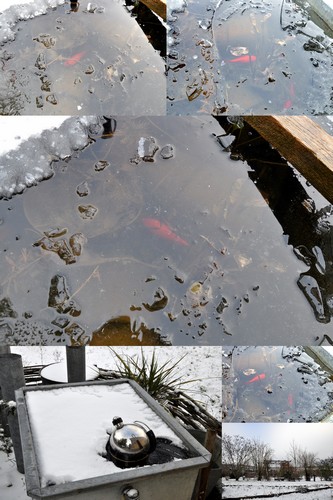 Image hébergée par Casimages.com : votre hébergeur d images simple et gratuit