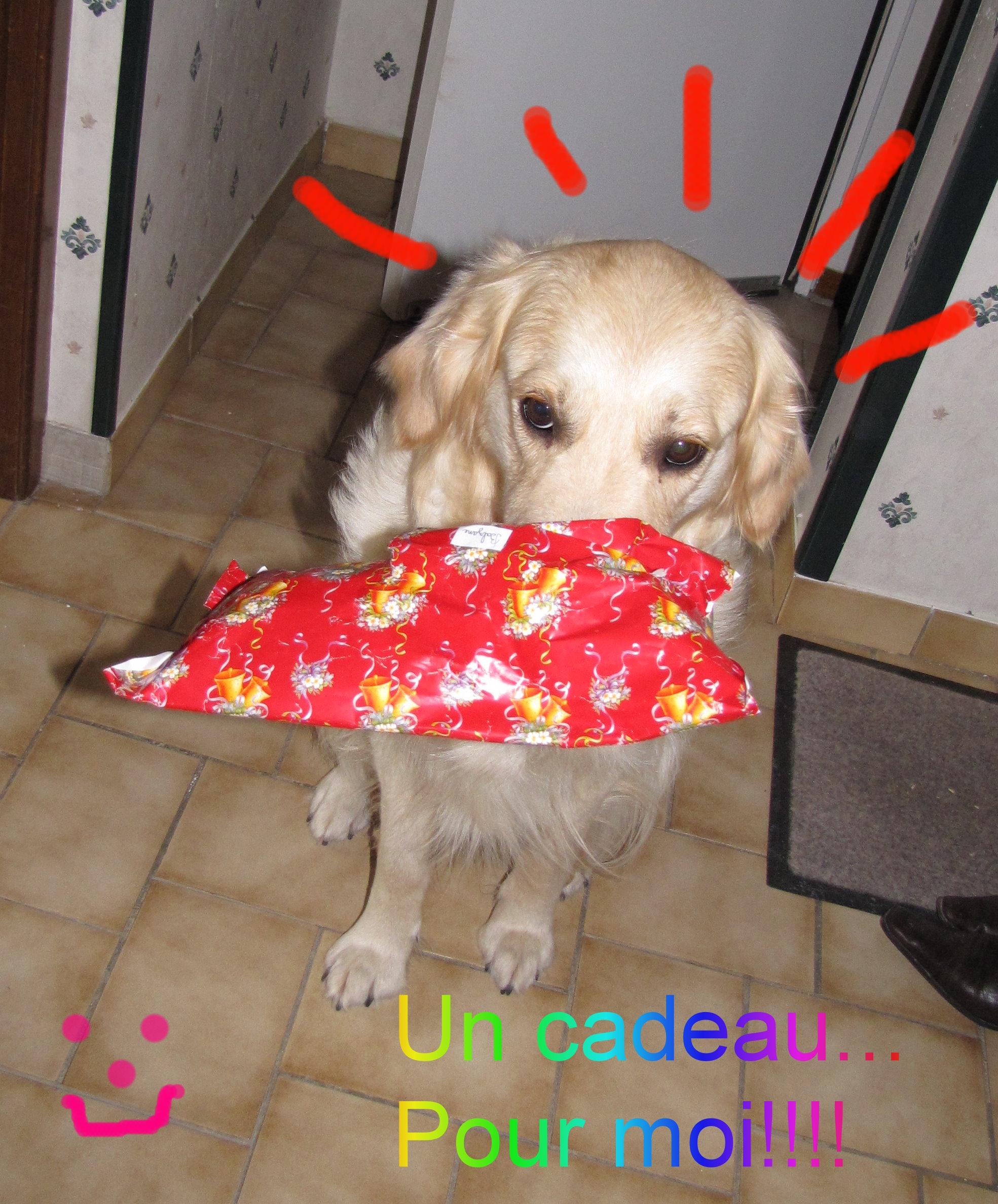 voir l'image en taille r�elle