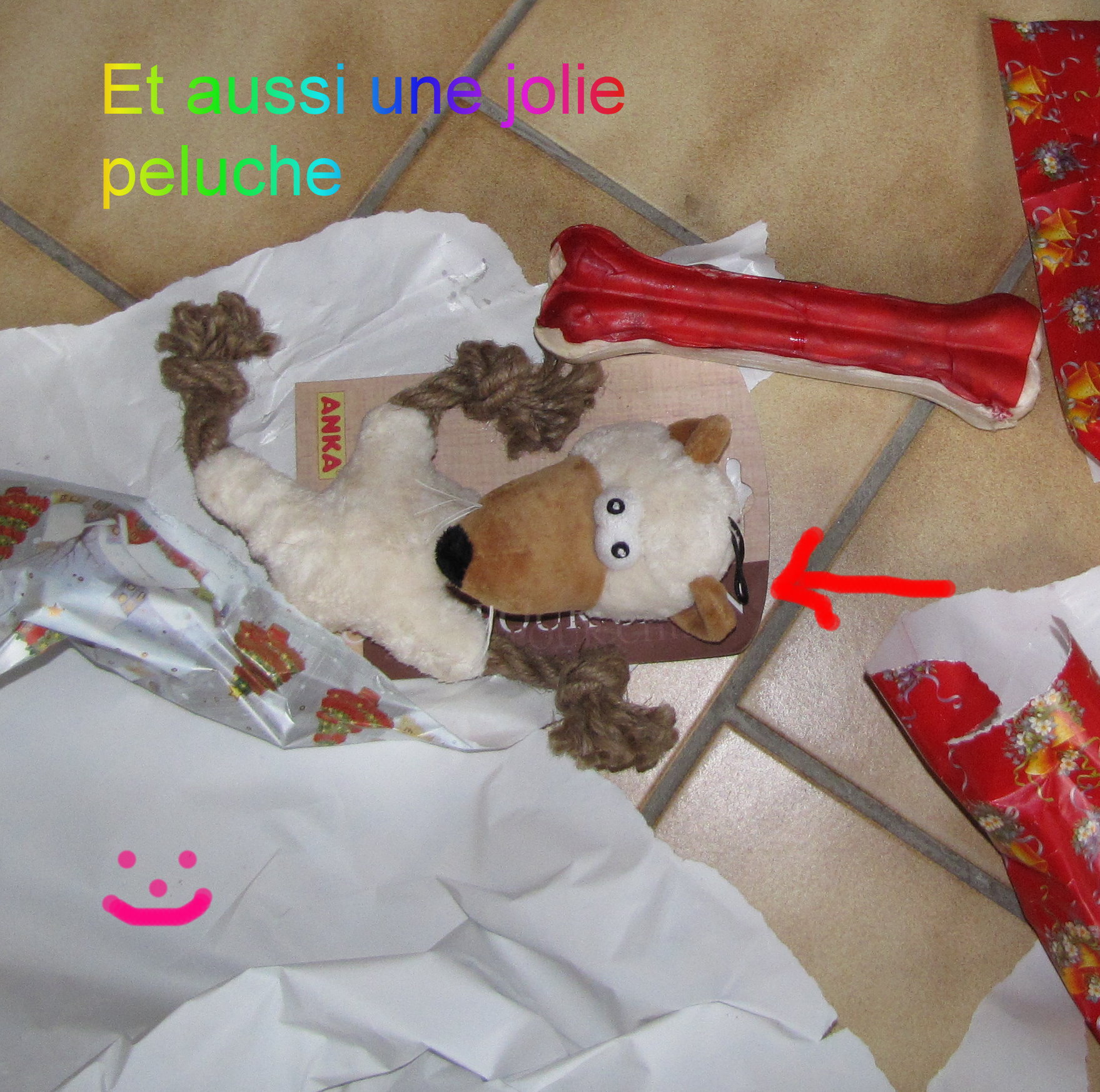 voir l'image en taille r�elle