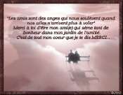 Amiti�s