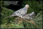 pens�es