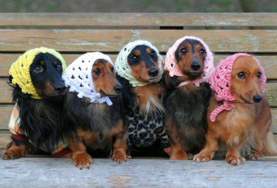 Image h�berg�e par Casimages.com : votre h�bergeur d images simple et gratuit