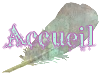 Accueil Accueil