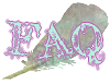 FAQ FAQ