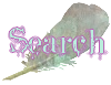 Rechercher Rechercher