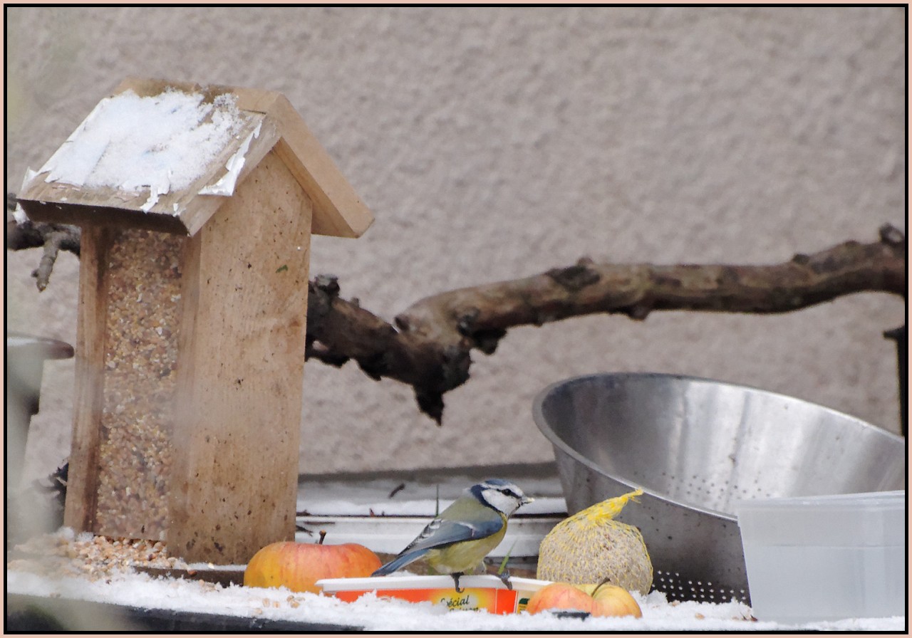 te rencontrer en espagnol