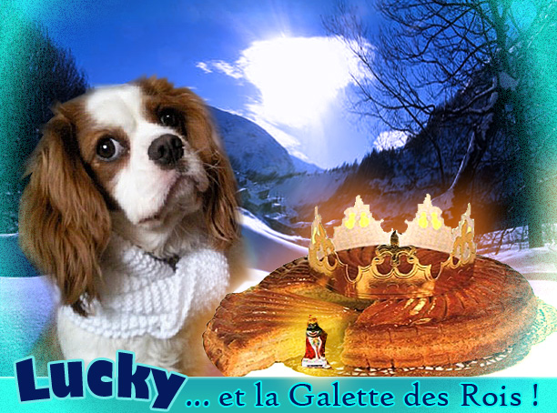 Image h�berg�e par Casimages.com : votre h�bergeur d images simple et gratuit