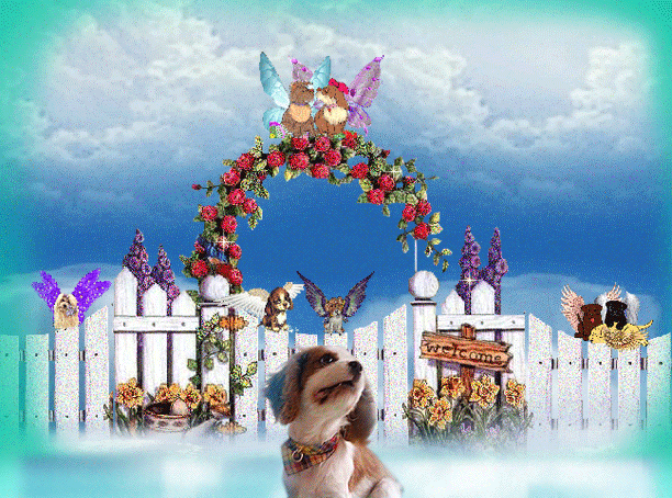 Image h�berg�e par Casimages.com : votre h�bergeur d images simple et gratuit