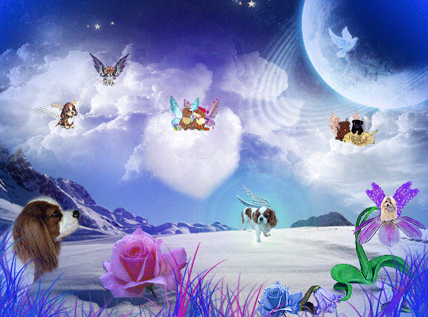 Image h�berg�e par Casimages.com : votre h�bergeur d images simple et gratuit