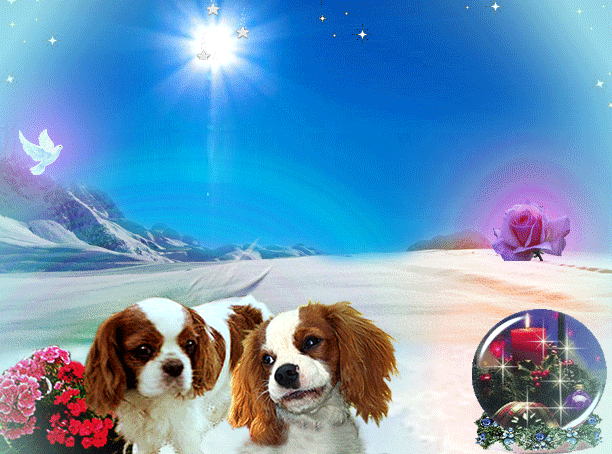 Image h�berg�e par Casimages.com : votre h�bergeur d images simple et gratuit