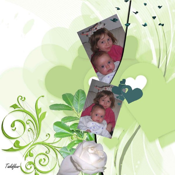 http://nsm02.casimages.com/img/2010/01/12//100112093734753545236583.jpg