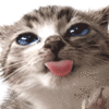 Image h�berg�e par Casimages.com : votre h�bergeur d images simple et gratuit