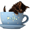 Image h�berg�e par Casimages.com : votre h�bergeur d images simple et gratuit
