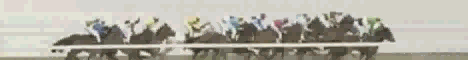 course hippique