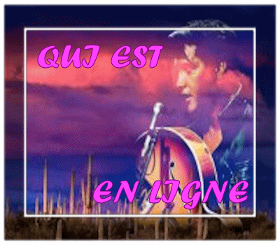 Qui est en ligne ?