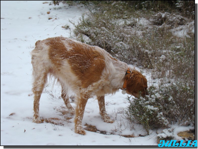 Image hébergée par Casimages.com : votre hébergeur d images simple et gratuit