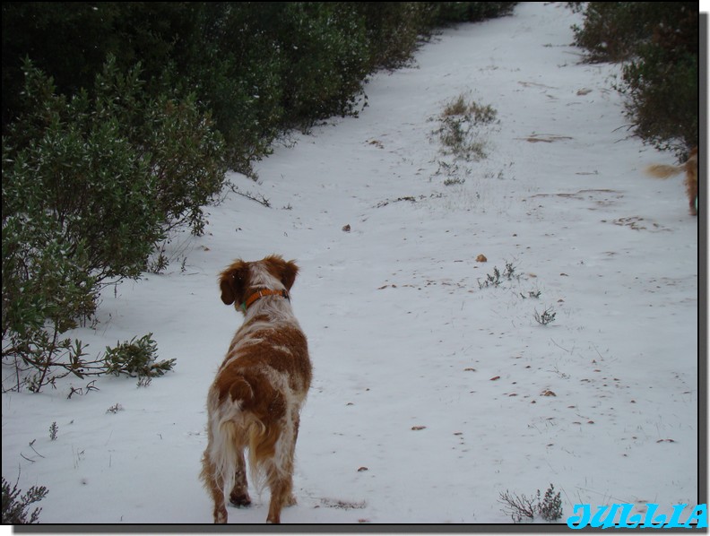 Image hébergée par Casimages.com : votre hébergeur d images simple et gratuit