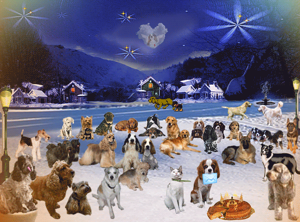 Image h�berg�e par Casimages.com : votre h�bergeur d images simple et gratuit