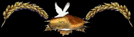 Image h�berg�e par Casimages.com : votre h�bergeur d images simple et gratuit