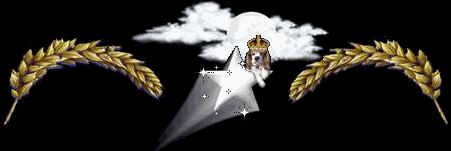 Image h�berg�e par Casimages.com : votre h�bergeur d images simple et gratuit