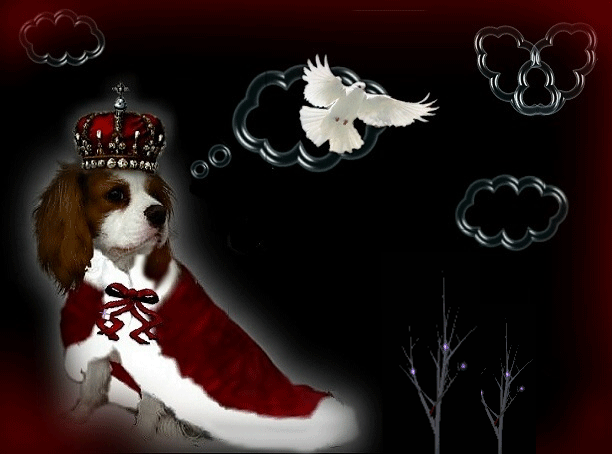 Image h�berg�e par Casimages.com : votre h�bergeur d images simple et gratuit