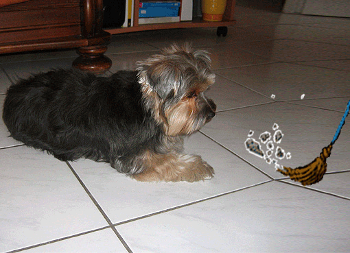 Image h�berg�e par Casimages.com : votre h�bergeur d images simple et gratuit