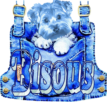 Image h�berg�e par Casimages.com : votre h�bergeur d images simple et gratuit