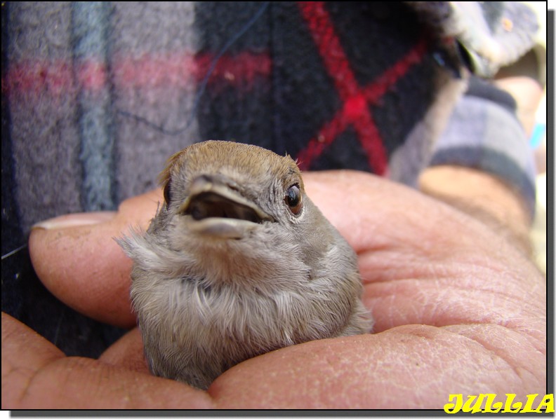 Image hébergée par Casimages.com : votre hébergeur d images simple et gratuit