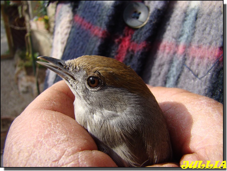Image hébergée par Casimages.com : votre hébergeur d images simple et gratuit