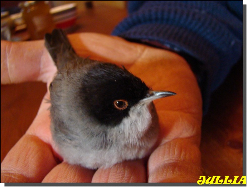 Image hébergée par Casimages.com : votre hébergeur d images simple et gratuit