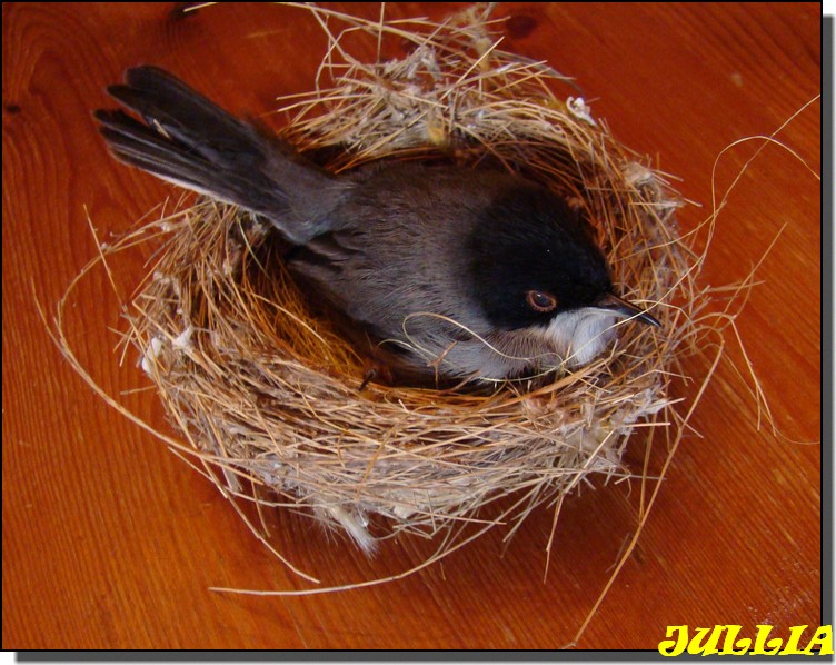 Image hébergée par Casimages.com : votre hébergeur d images simple et gratuit