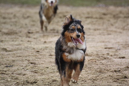 Image h�berg�e par Casimages.com : votre h�bergeur d images simple et gratuit