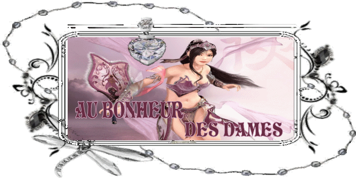 AU BONHEUR DES DAMES