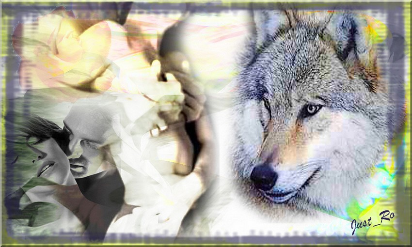 Image hébergée par Casimages.com : votre hébergeur d images simple et gratuit