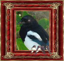 Image hébergée par Casimages.com : votre hébergeur d images simple et gratuit