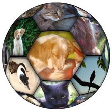 Image hébergée par Casimages.com : votre hébergeur d images simple et gratuit