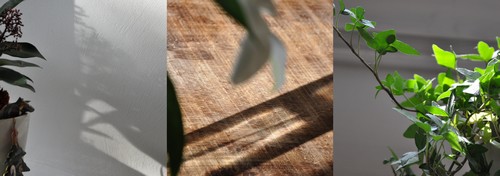 Image hébergée par Casimages.com : votre hébergeur d images simple et gratuit