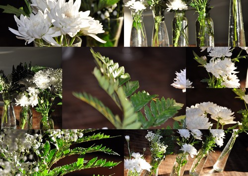 Image hébergée par Casimages.com : votre hébergeur d images simple et gratuit