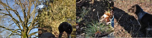 Image hébergée par Casimages.com : votre hébergeur d images simple et gratuit