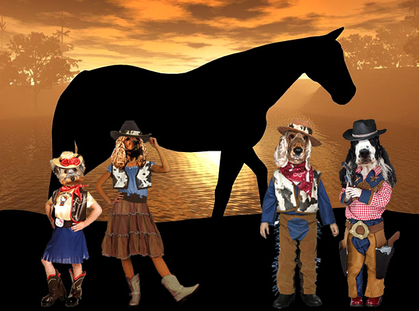 Image hébergée par Casimages.com : votre hébergeur d images simple et gratuit