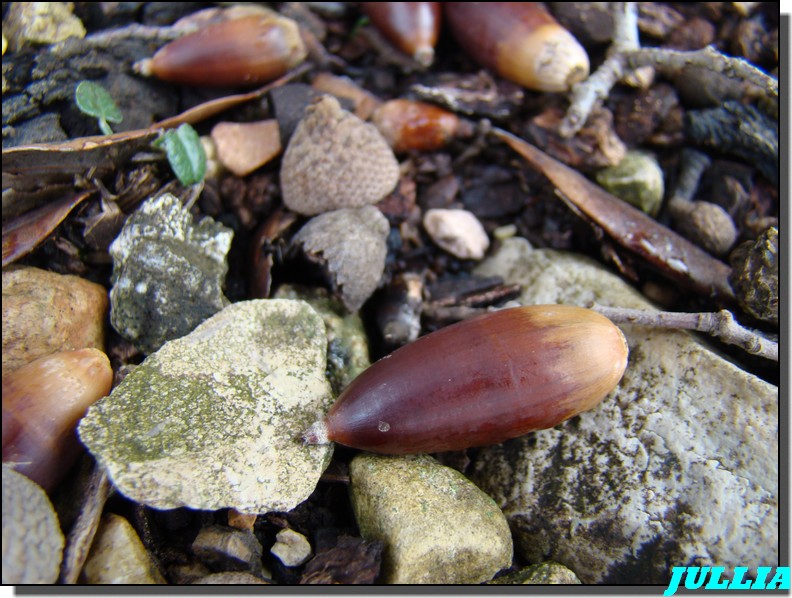 Image hébergée par Casimages.com : votre hébergeur d images simple et gratuit