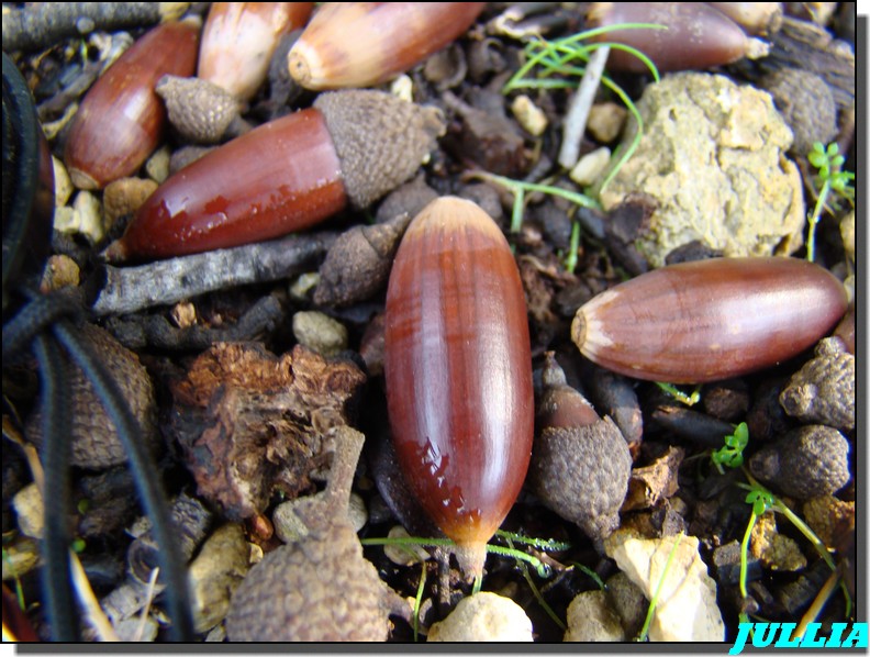 Image hébergée par Casimages.com : votre hébergeur d images simple et gratuit