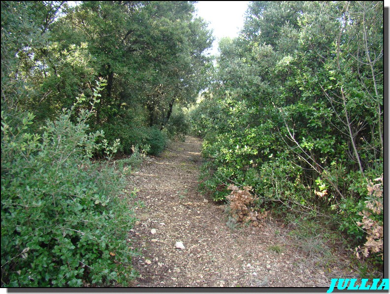 Image hébergée par Casimages.com : votre hébergeur d images simple et gratuit