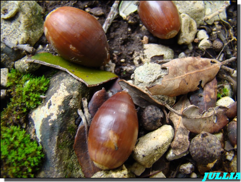 Image hébergée par Casimages.com : votre hébergeur d images simple et gratuit