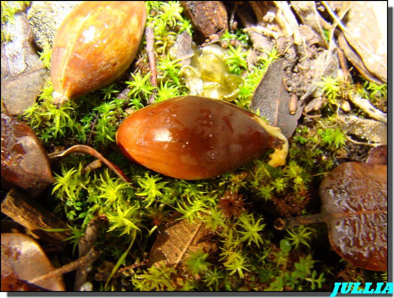 Image hébergée par Casimages.com : votre hébergeur d images simple et gratuit