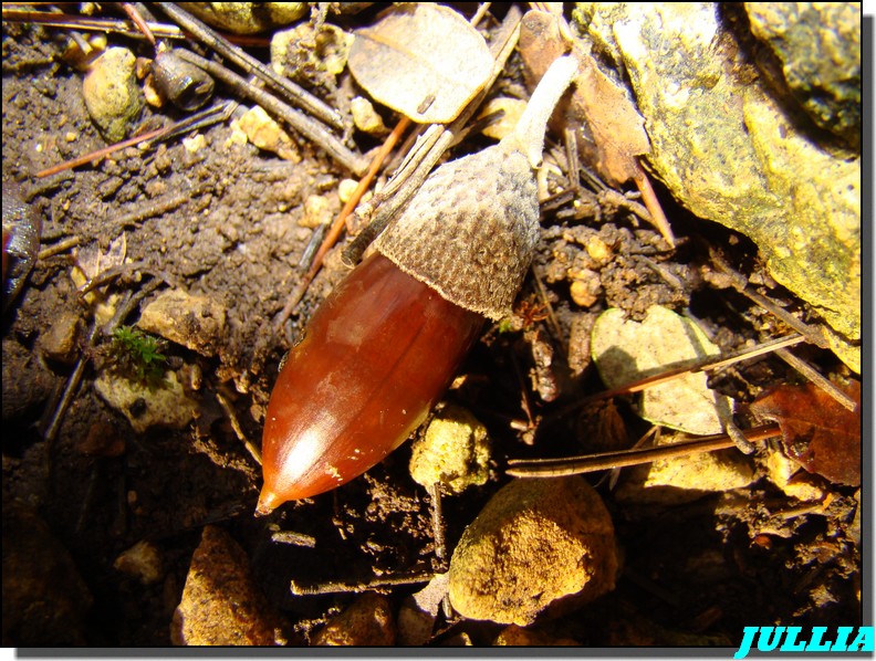 Image hébergée par Casimages.com : votre hébergeur d images simple et gratuit